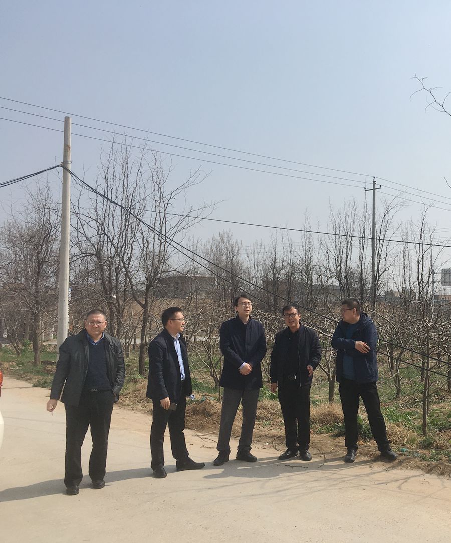 范樂偉檢查指導(dǎo)空港新城項目