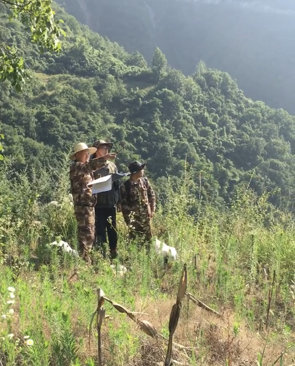 無(wú)懼&ldquo;烤&rdquo;驗(yàn)，不負(fù)&ldquo;熱&rdquo;愛(ài)，用堅(jiān)持成就不凡！----我公司陜西省鎮(zhèn)安縣早陽(yáng)山一帶鈷多金屬礦預(yù)查項(xiàng)目找礦成果顯著