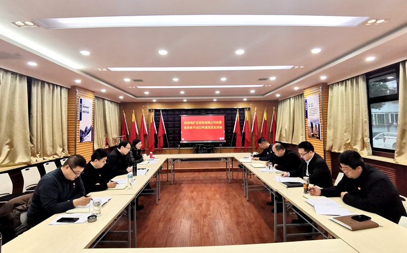 陜西地礦區(qū)研院有限公司黨委領(lǐng)導(dǎo)班子召開2022年度民主生活會(huì)