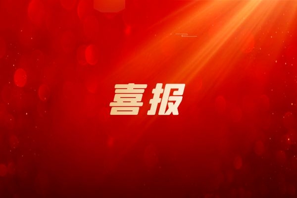 我公司2個(gè)支部3名個(gè)人榮獲集團(tuán)&ldquo;兩優(yōu)一先&rdquo;表彰