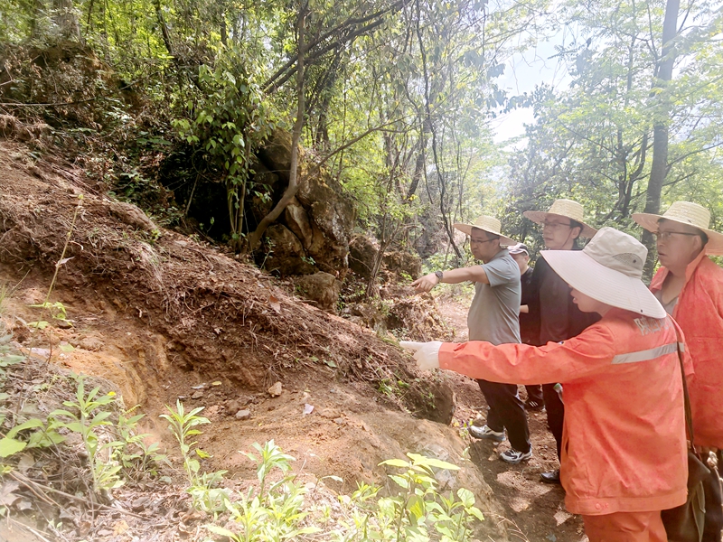 20250516/6826b94dd41e2.jpg 微信圖片_20250516104504_副本_800.jpg